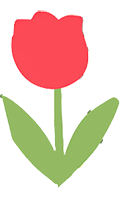 roseflower2